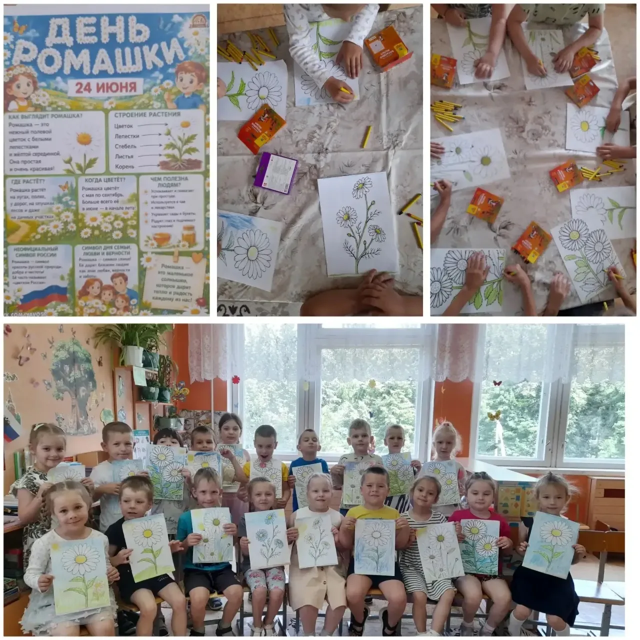 🌸День ромашки🌸
Группа "Капитошки"
День ромашки отмечается ежегодно 24 июня. Этот светлый неофициал