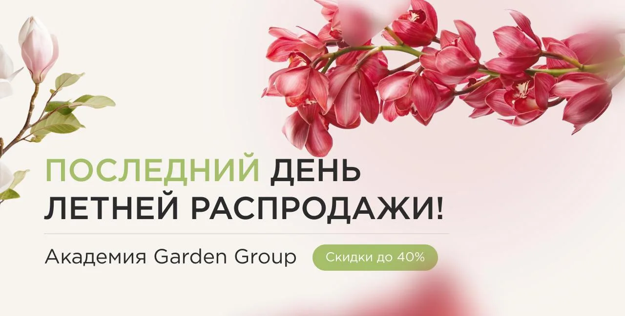 Меньше суток, чтобы войти в профессию по летней цене ⏳

До конца летней распродажи осталось меньше 2