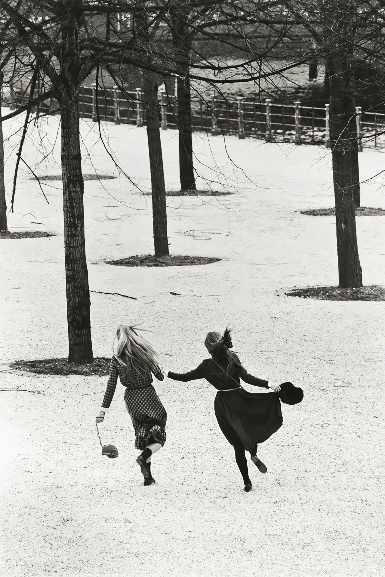 Аннет и Ангела, Берлин, 1982.

Photographer / Сибилла Бергеман.

Чёрно-белая фотография