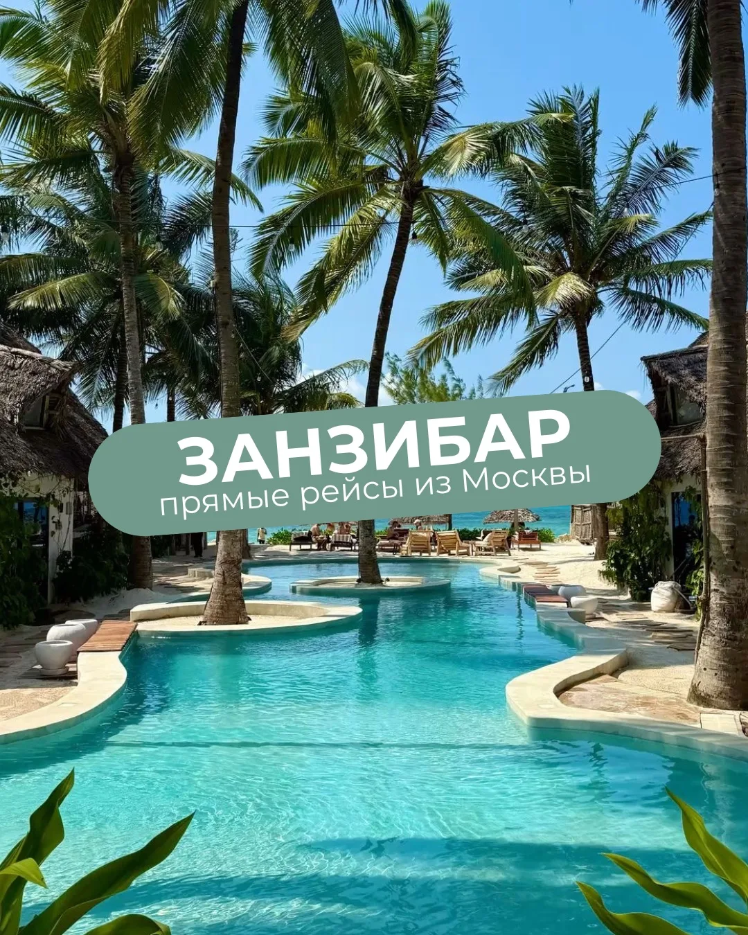 🌴 ЗАНЗИБАР СТАЛ БЛИЖЕ! 🌴

Со 2 июля стартуют прямые регулярные рейсы авиакомпании Air Tanzania из 