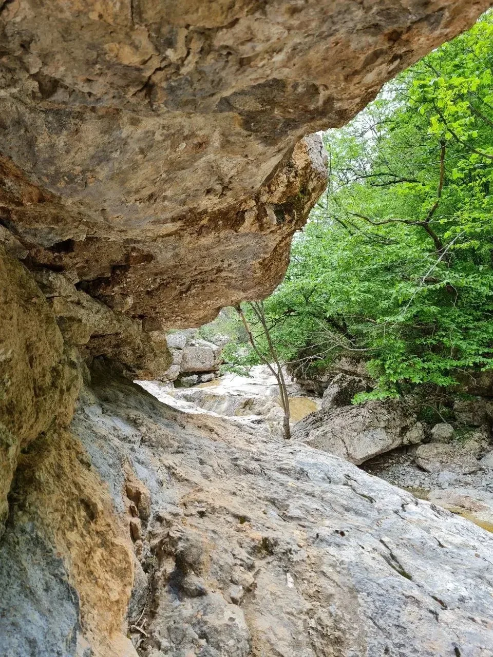 Розовое чудо Байдарской долины: каньон, который в себя влюбляет!

⛰ В Байдарской долине есть много к