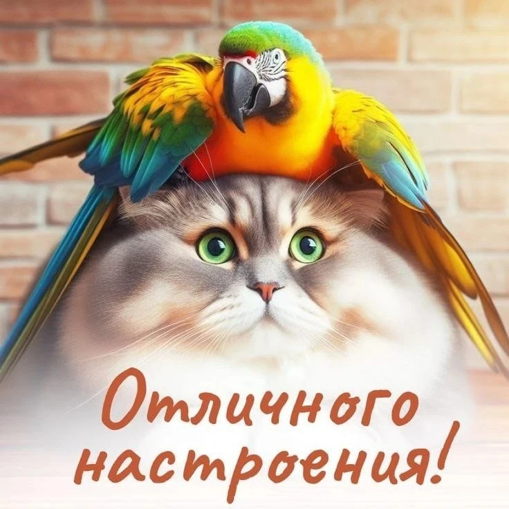 ✨❤️❤️❤️🍬✨

ДЛЯ ДУШИ! 🦋