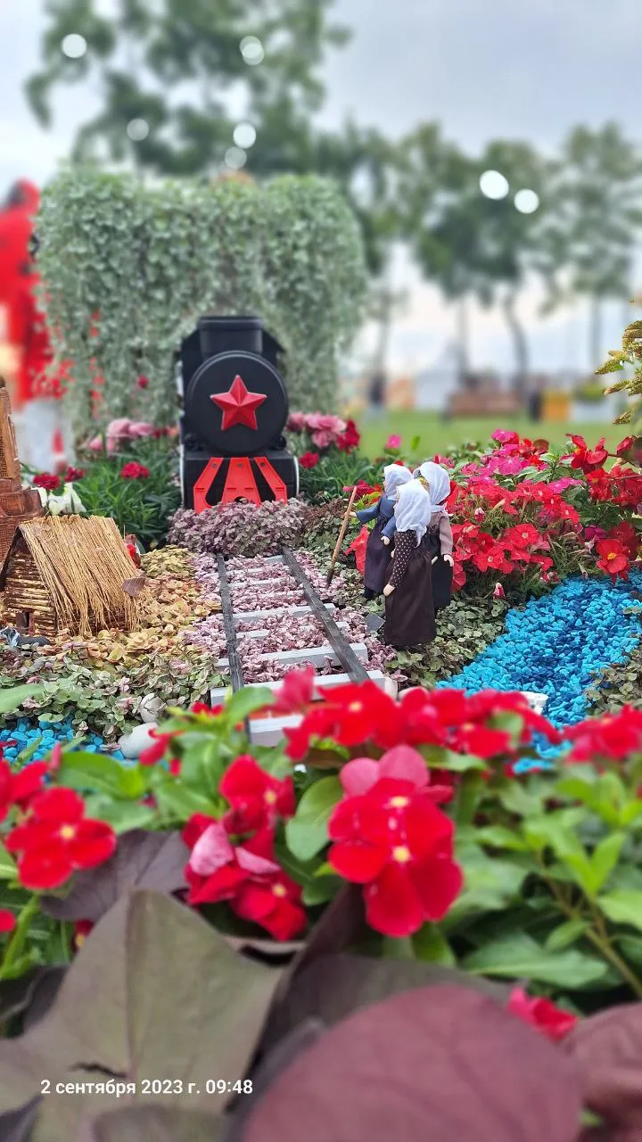 Дихондра
🌷Высадка: вазон
🪴Высаживается  по несколько растений в  одну емкость
⚠️ После высадки  пл