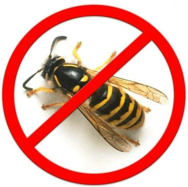 🐝 Безопасность в саду: Защищаем наших малышей от ос! 🐝 
 
Лето в самом разгаре, и это прекрасное в