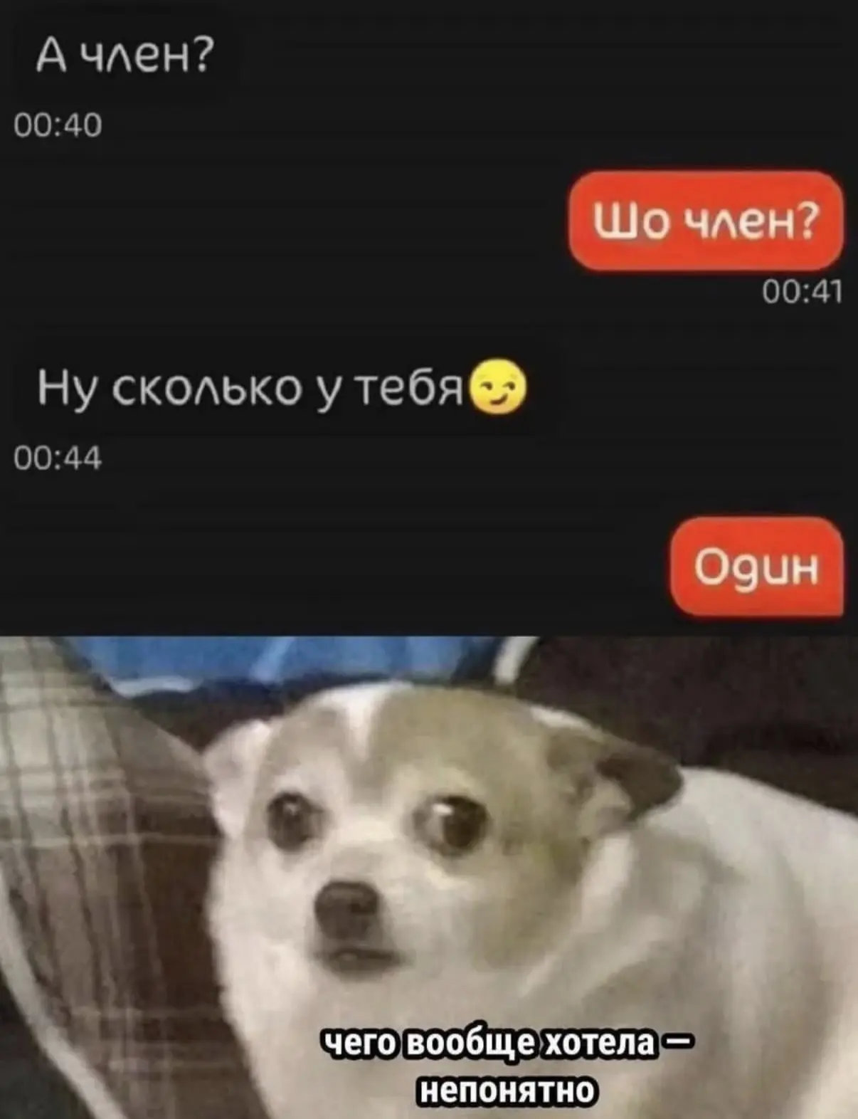 Рубрика о том, что меня ужасно рассмешнило за неделю. 

#мемотерапия, короче

Ваша очередь, дорогие 