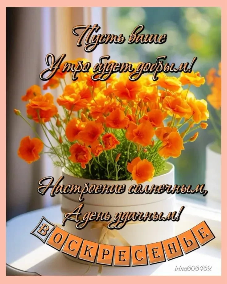 Доброе утро, друзья! Пусть воскресенье не заканчивается!