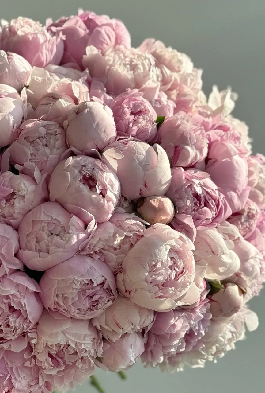 Лето создано для любви, а любовь — для цветов 🌸 💕

Представьте: теплый вечер, легкое платье и в ру
