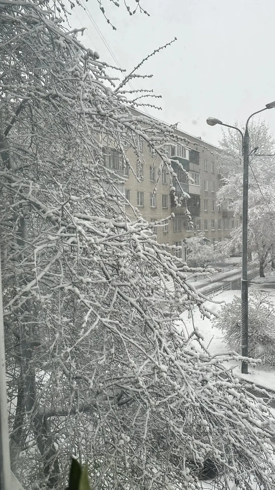 Доброе утро 🫣
На улице апокалипсис,27 апреля на секундочку