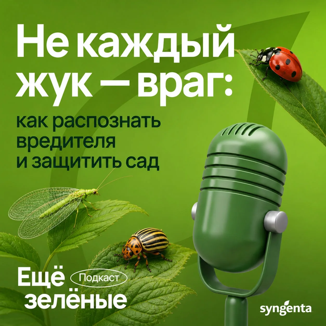 🌿Сад не может и не должен быть стерильным. Насекомые — естественная часть его экосистемы, и далеко 