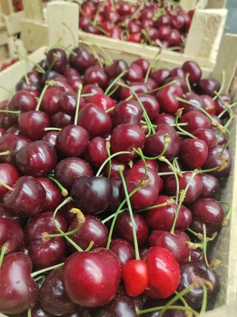 Вкусная, свежая, сладкая клубника из Крыма!

Эта клубника растёт в Крыму всего в 11 км от моря.  Яго