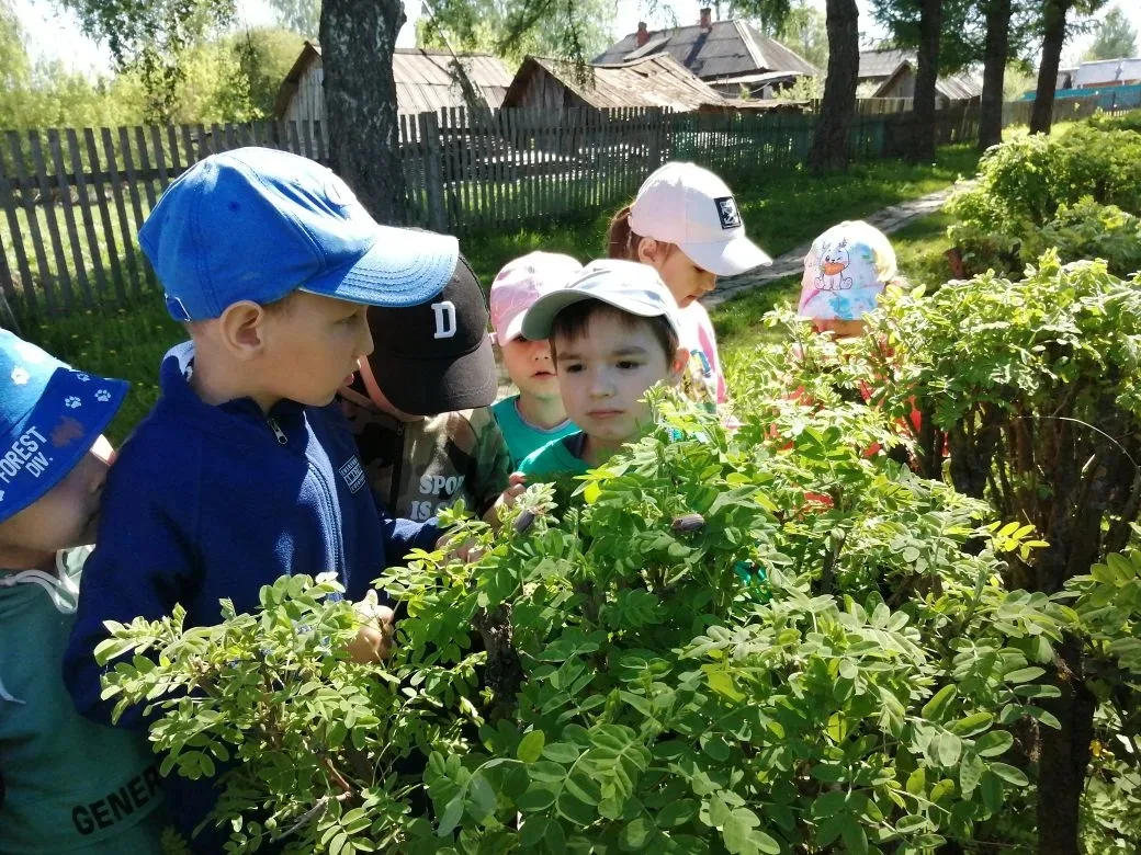 День майского жука: интересные факты и увлекательные наблюдения

Ребята из старшей группы детского с