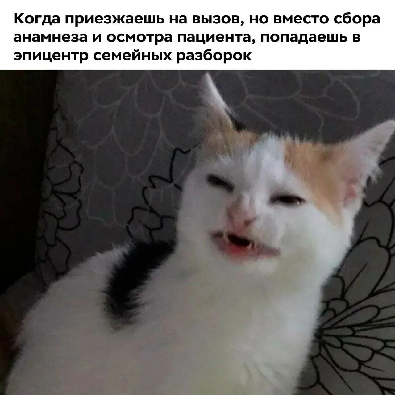 По-моему, им не нужна скорая 🤔