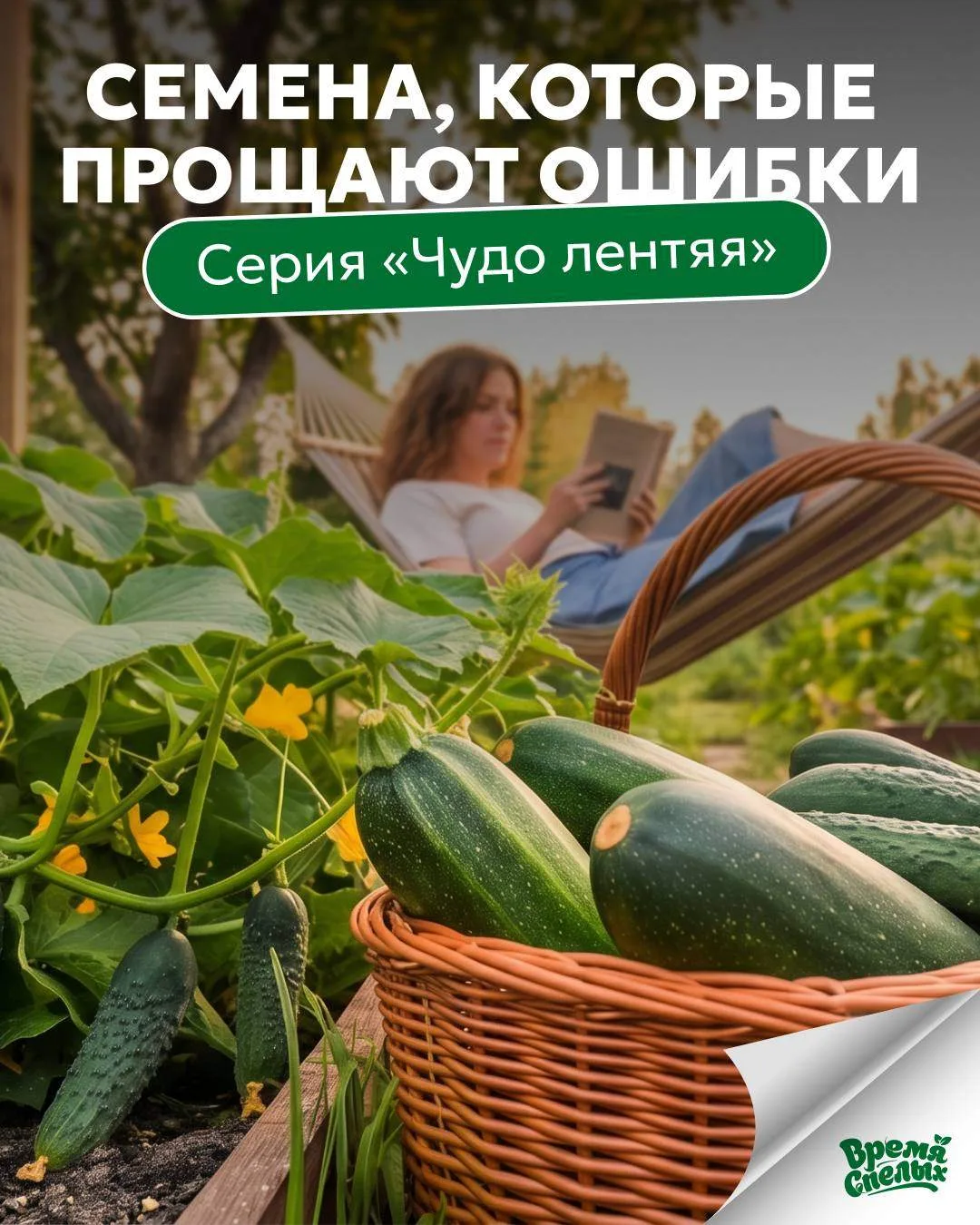 😌 Серия «Чудо лентяя» — урожай для тех, кто ценит отдых на даче  
  
Не всем хочется проводить всё 