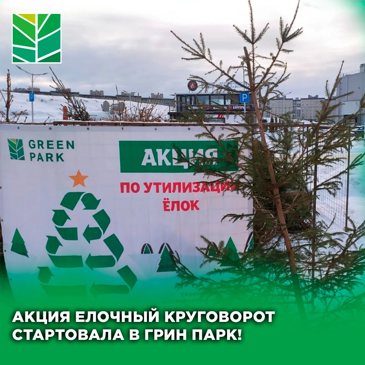 Не выбрасывайте елки!🎄🎄🎄🎄😃

КДЦ GREEN PARK предлагает принять участие в акции: «Елочный кругово