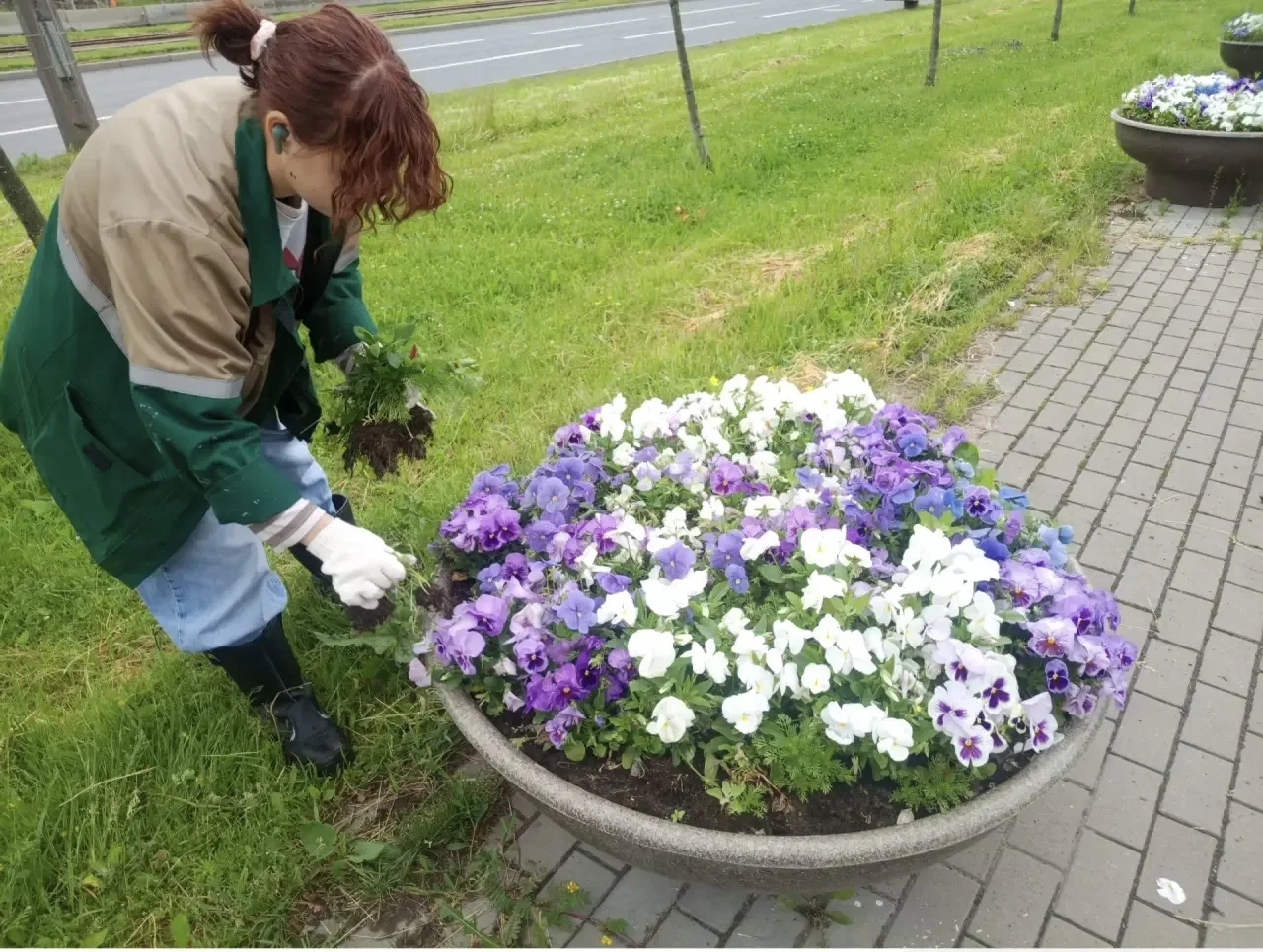 🌼Бережно и аккуратно: почему важна прополка ваз на аллее🌼

Уход за цветами в вазах на аллее Ленинг