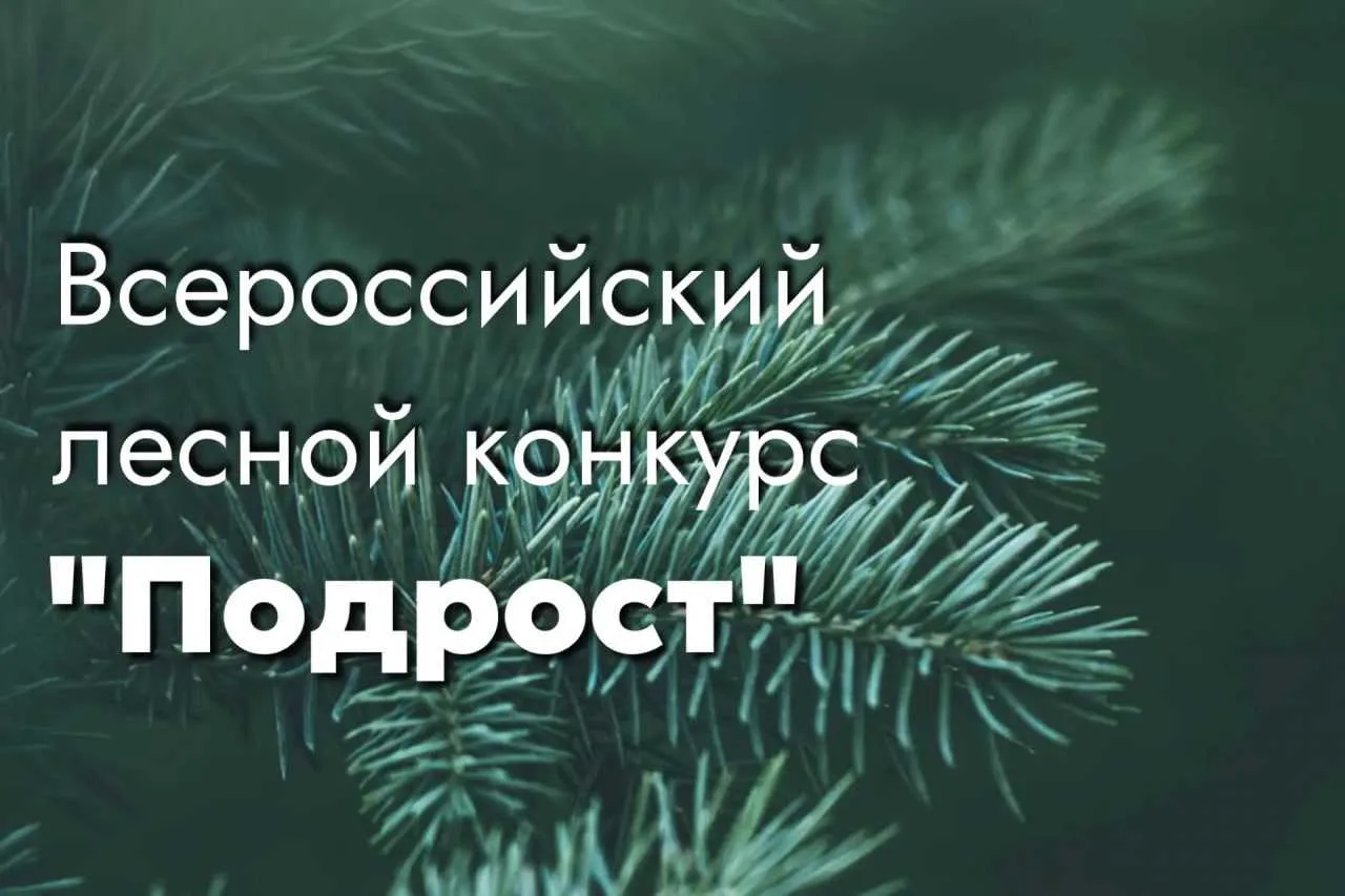 ✨️Юные лесники из Красноярского края заняли первые места в номинациях Всероссийского конкурса "Подро