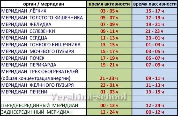 НАШ ОРГАНИЗМ РАБОТАЕТ КАК ЧАСЫ:

🔘с 3:00 до 5:00 работает канал лёгких. Кровь активно распространяе