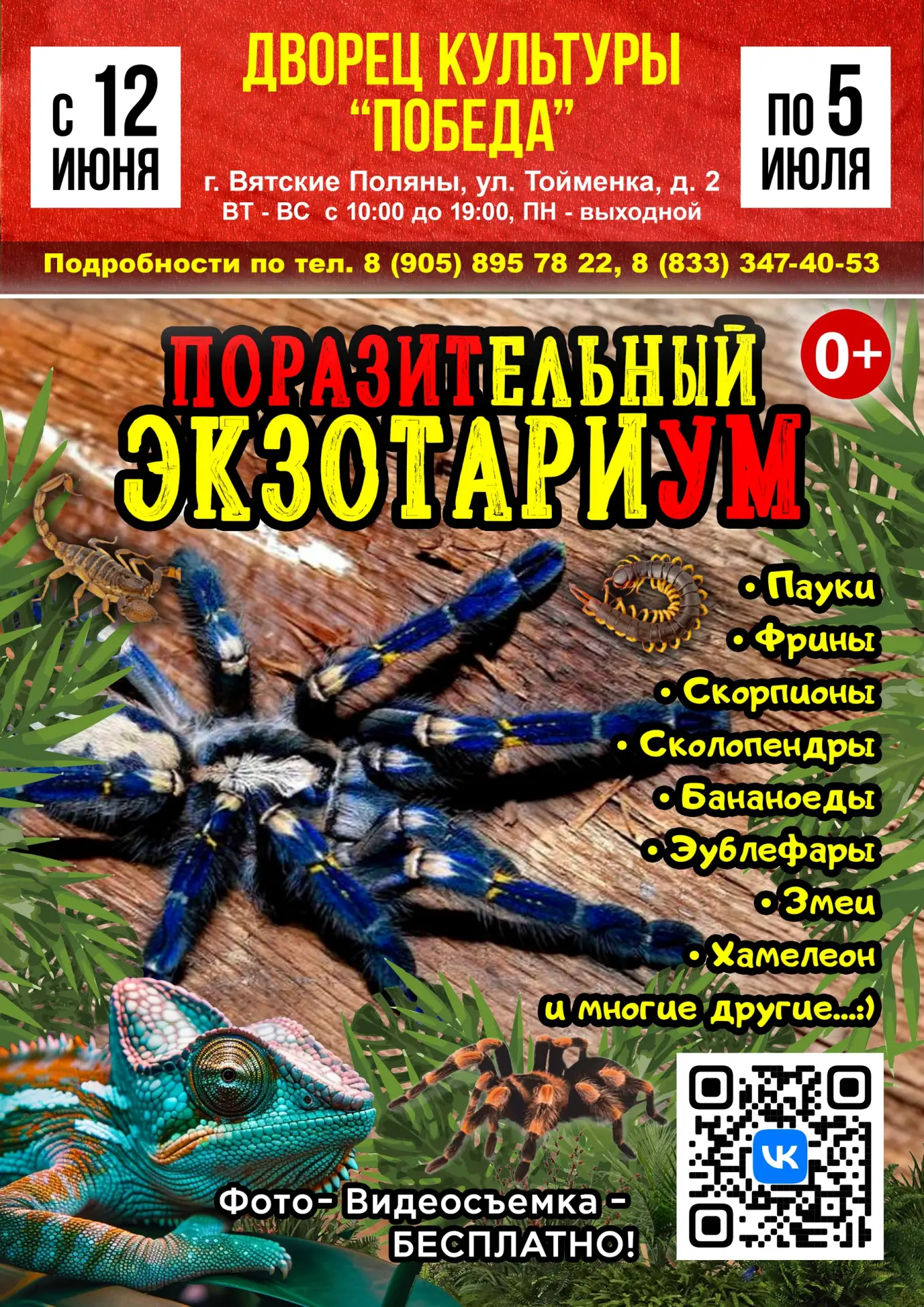 🔥 ВЯТСКИЕ ПОЛЯНЫ🔥 ВСТРЕЧАЙТЕ 😍

🕷🦂 Впервые в городе! Совершенно новая выставка "ПОРАЗИТЕЛЬНЫЙ Э