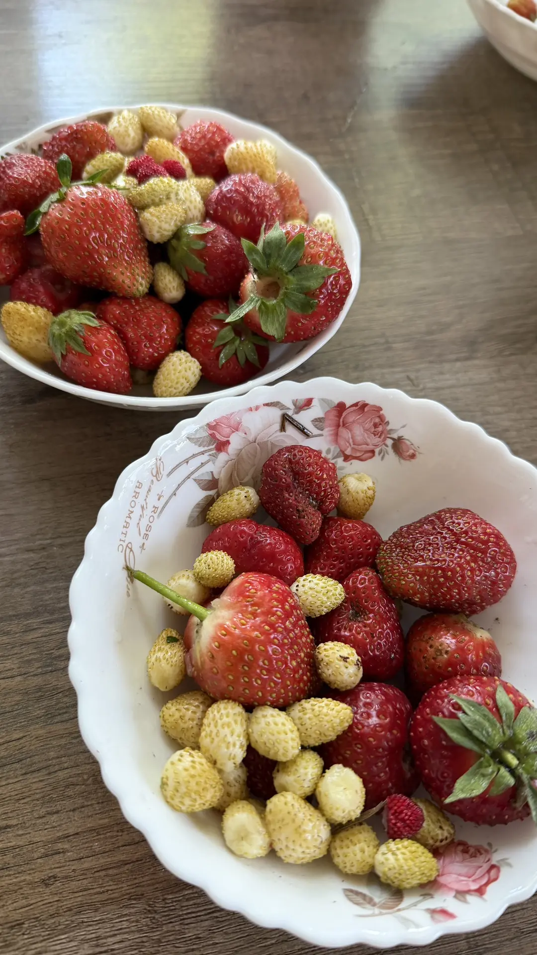 Дети набрали с утра по тарелочке🍓🌿