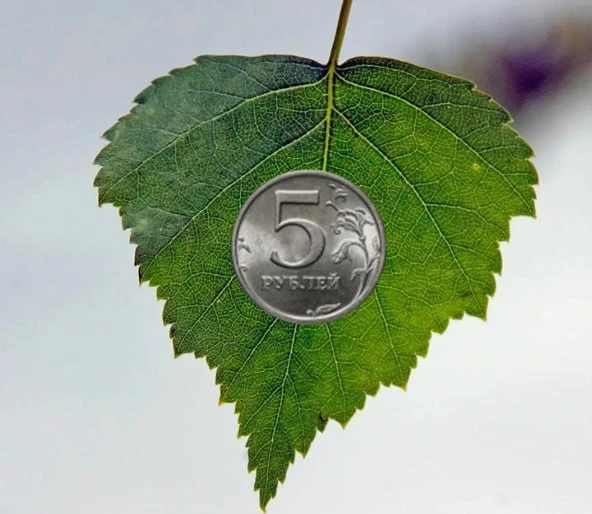 💰ТРОИЦКИЙ РИТУАЛ НА ПРИВЛЕЧЕНИЕ ДЕНЕГ💰

Понадобится:

🔠3 листочка березы, 
🔠3 пятирублевые монет