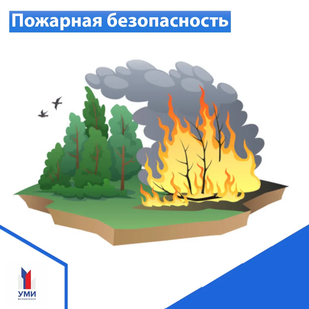 С приходом тёплой погоды многие горожане выбирают отдых на природе. Напоминаем о правилах безопаснос