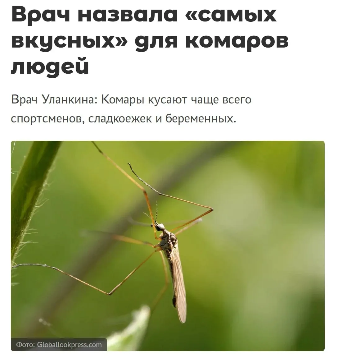 Сладкоежки — главная мишень для комаров, заявили врачи

В первую очередь кровососы ориентируются на 