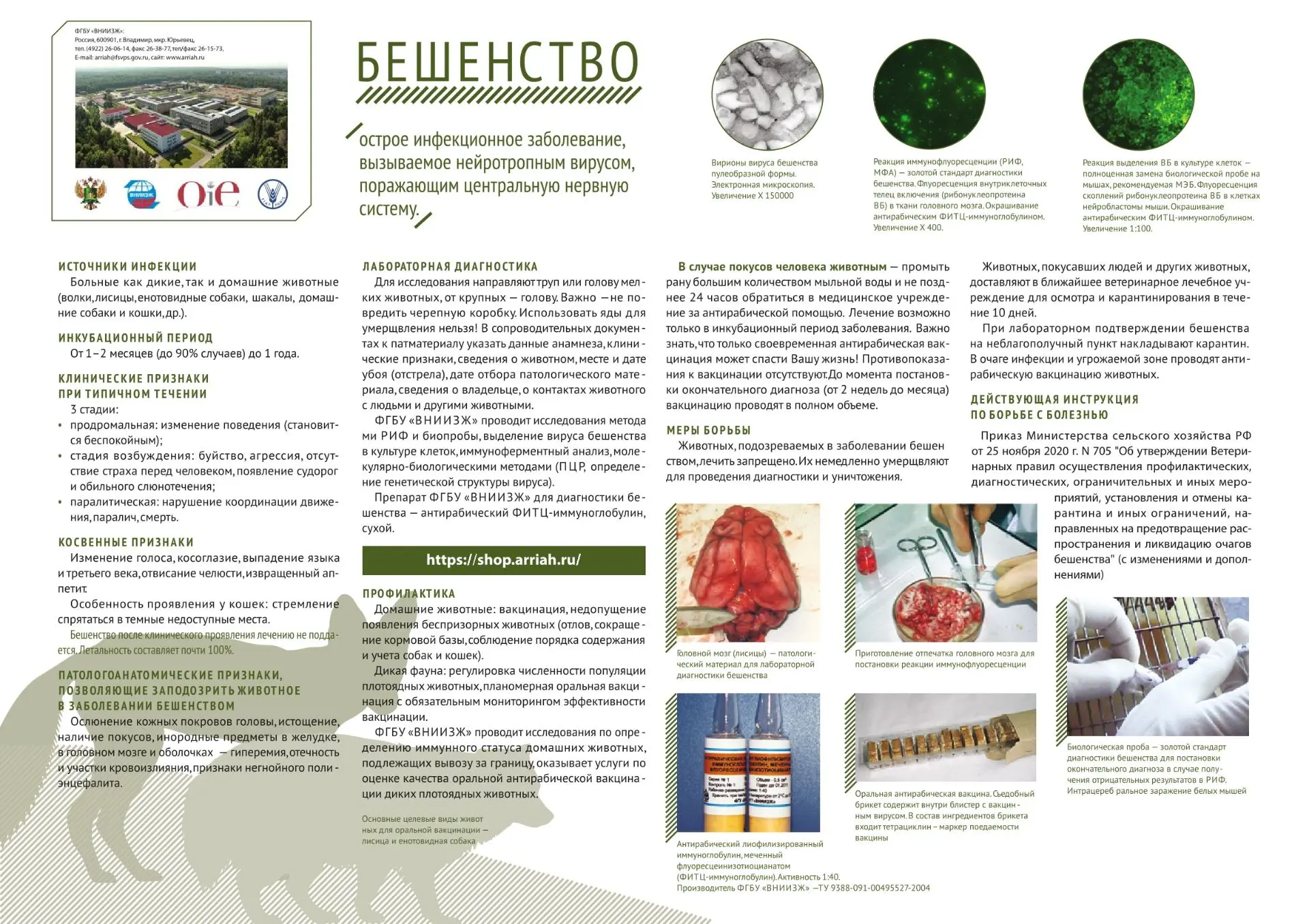 Профилактика бешенства.