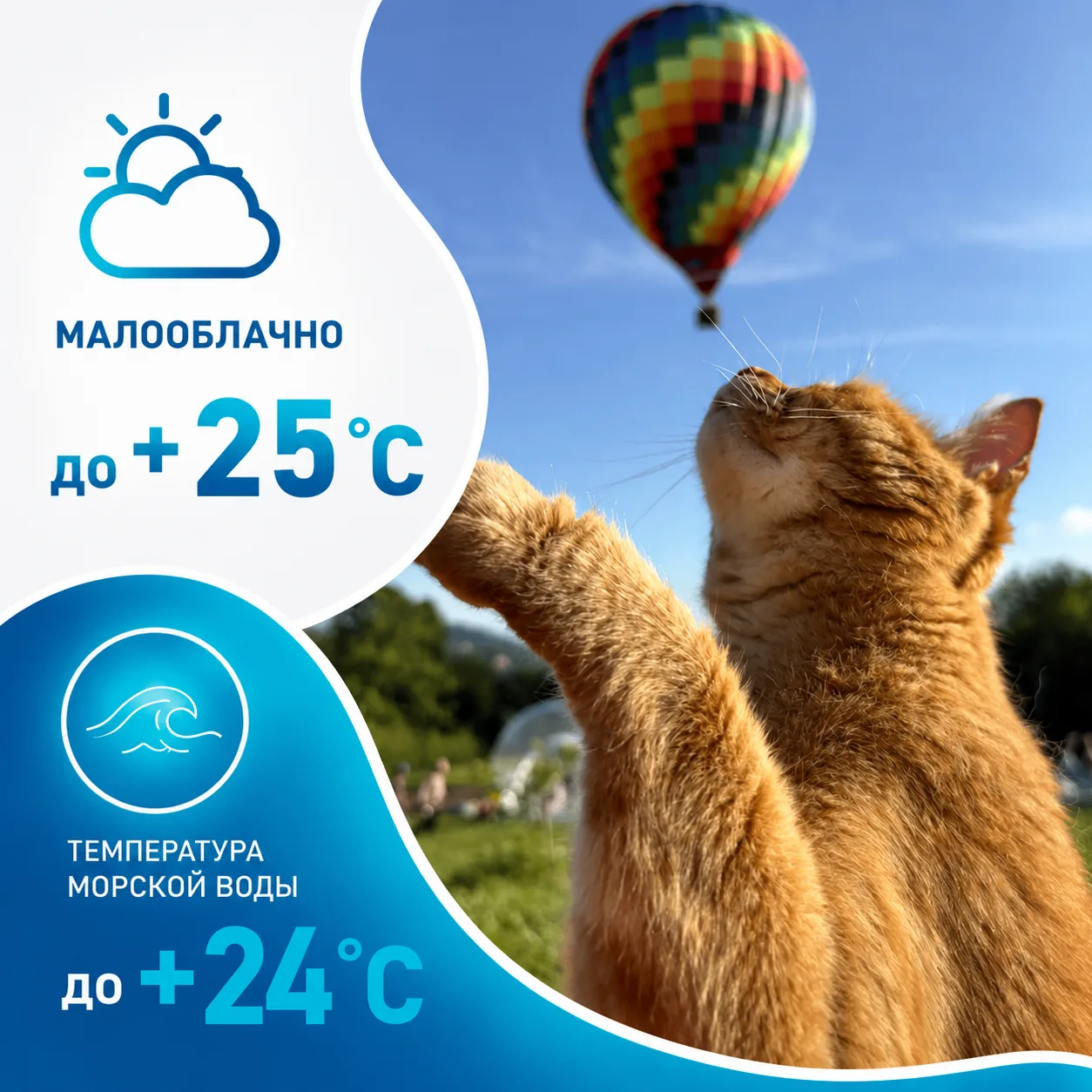 Доброе утро, сочинцы и гости курорта!

Прогноз погоды на курорте на сегодня:

☀️☀️☀️

🔆 малооблачно