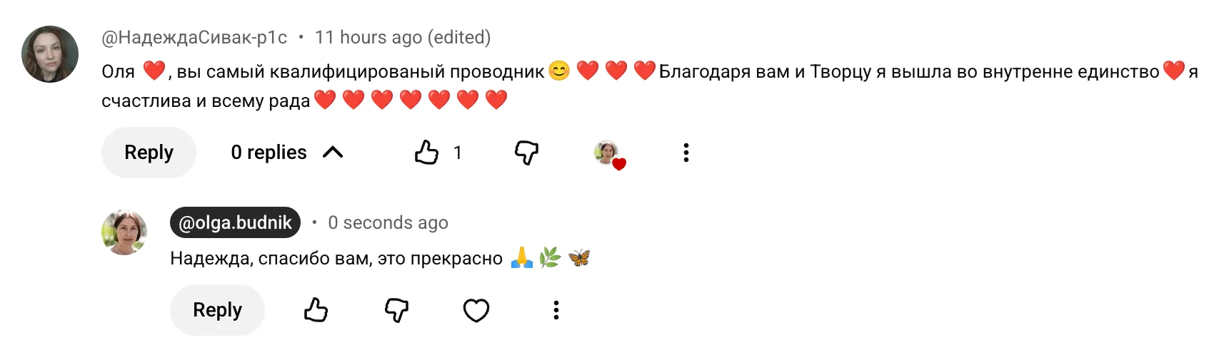 Товарищи, в нашем полку прибыло. Сегодня в комментариях на ютубе две женщины, которые отметились, чт