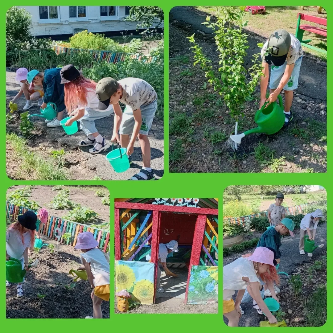 🌞🌿Летом дети в детском саду часто участвуют в полезных делах, помогающих развивать ответственность