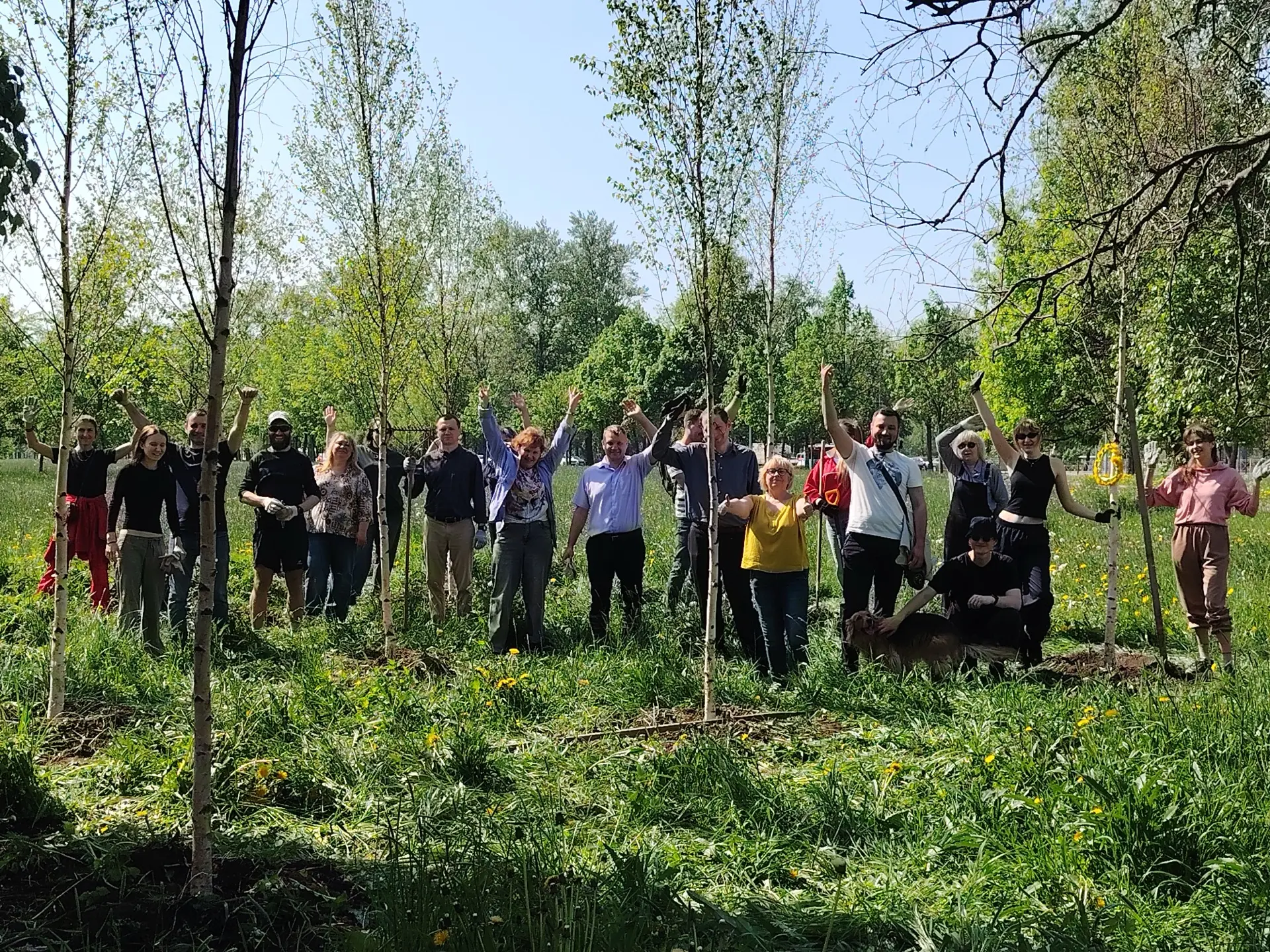 🌳 Прошедшая неделя в Московском районе выдалась особенно насыщенной. Помимо яркого цветочного оформ