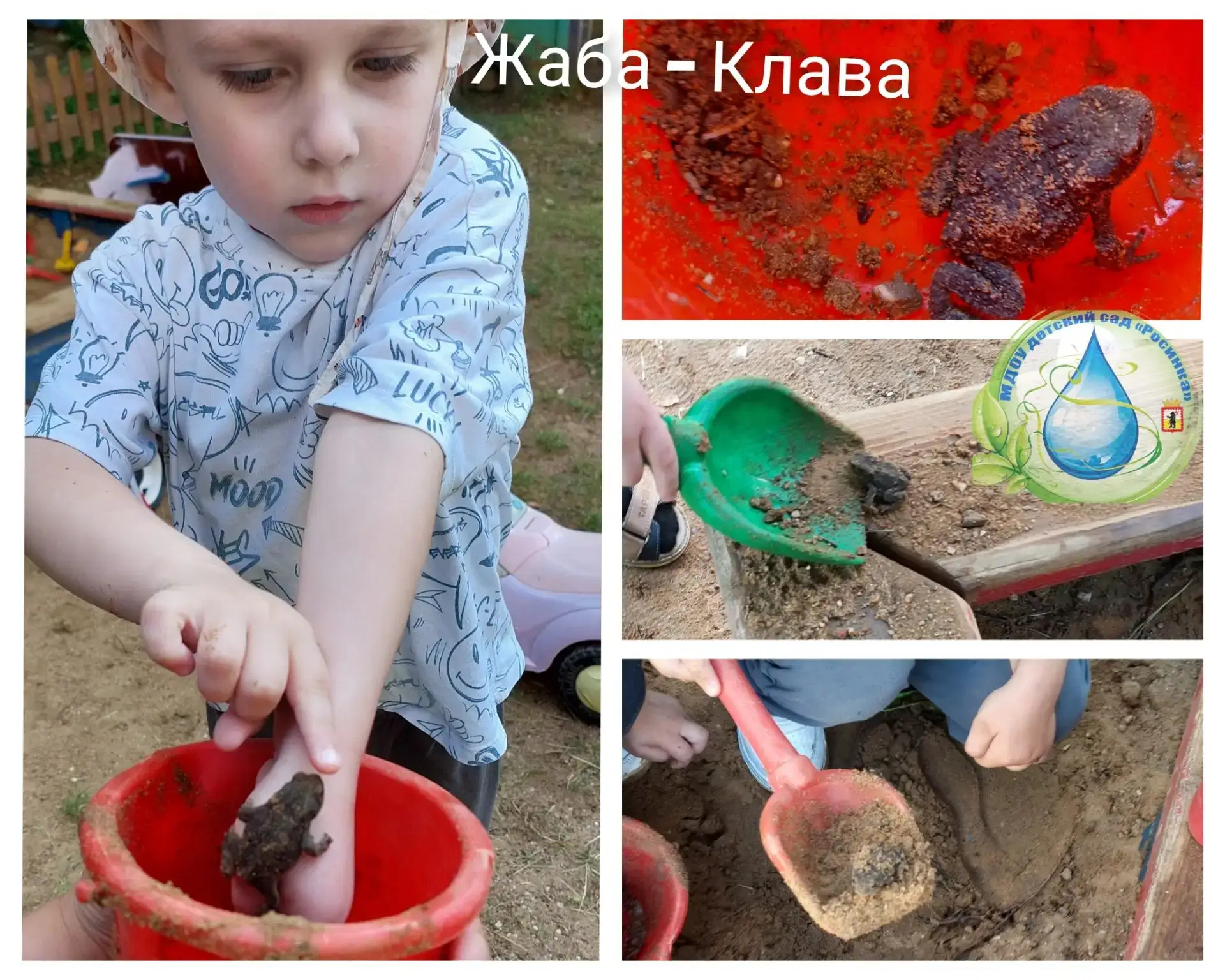 Прогулка летом - это не только весело,интересно, но и познавательно.Ребята группы,,Гномики" познаком