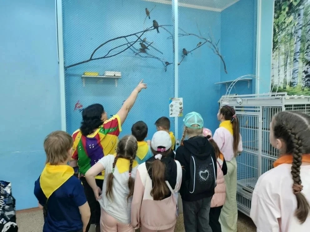 🌿 Не просто экскурсия, а урок заботы: «Орлята России» в гостях у природы

В рамках трека «Орлёнок-э