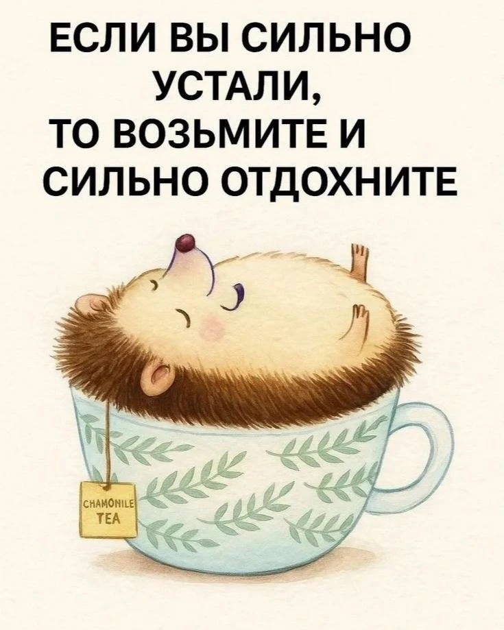 Инструкция к сегодняшнему вечеру)))