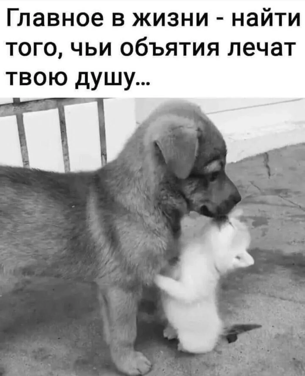 Юморима