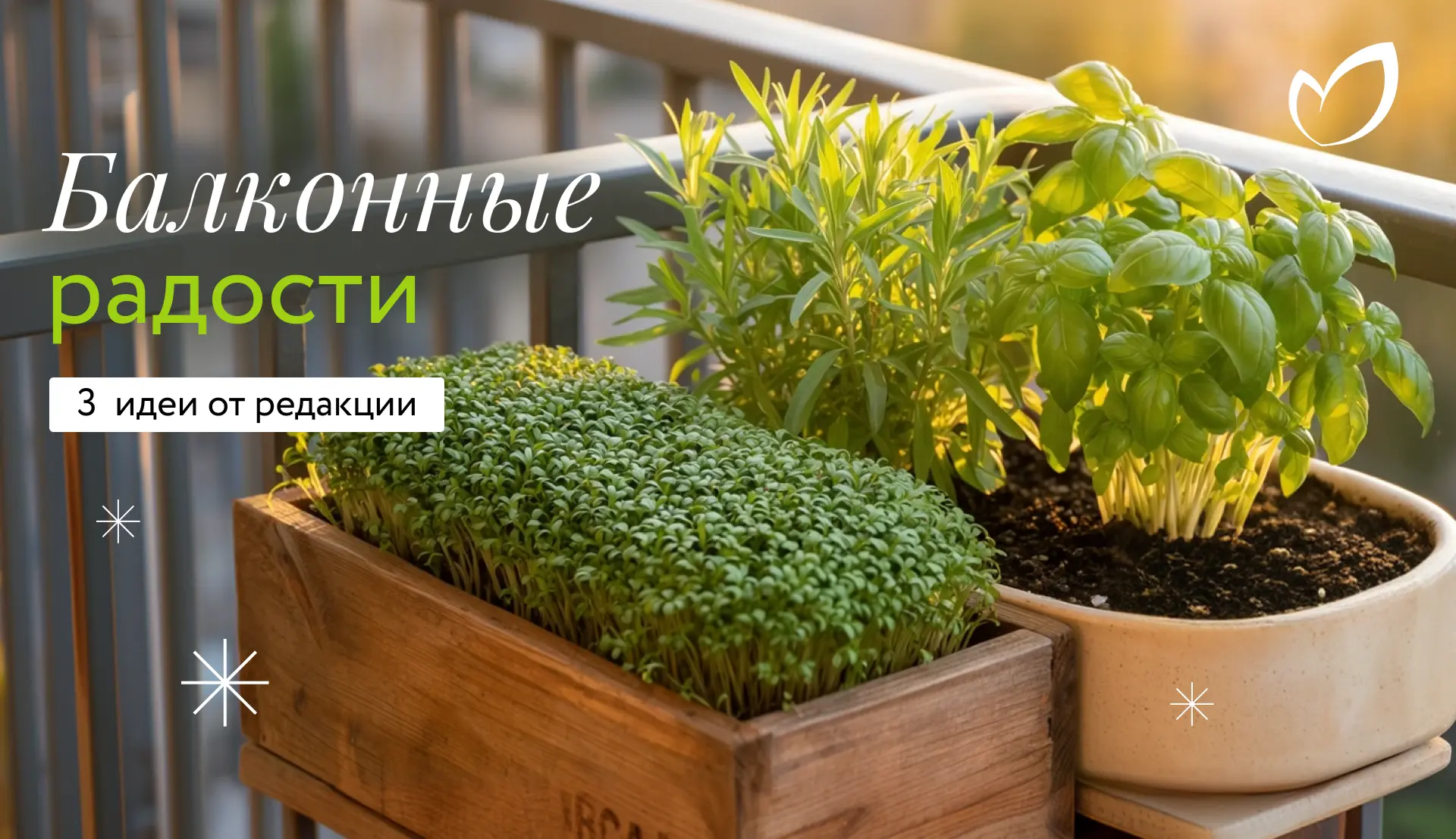 🌿 Балконные радости: маленький сад для больших удовольствий! 

Даже если у вас всей земли — три с п