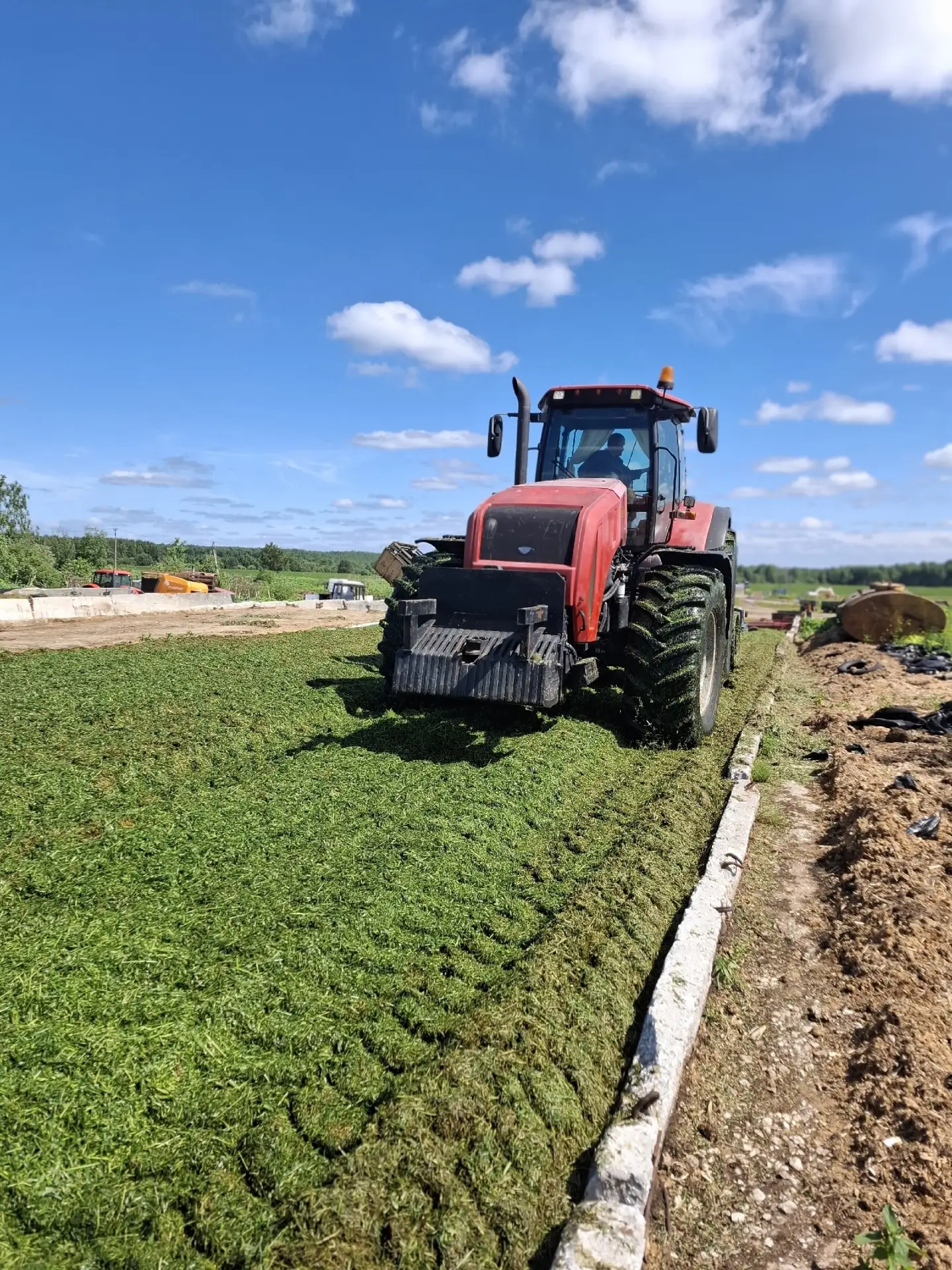 🌿🐄"Завершили закладку зеленой массы на корм нашим буренушкам!!!" - делится хорошей новостью руково