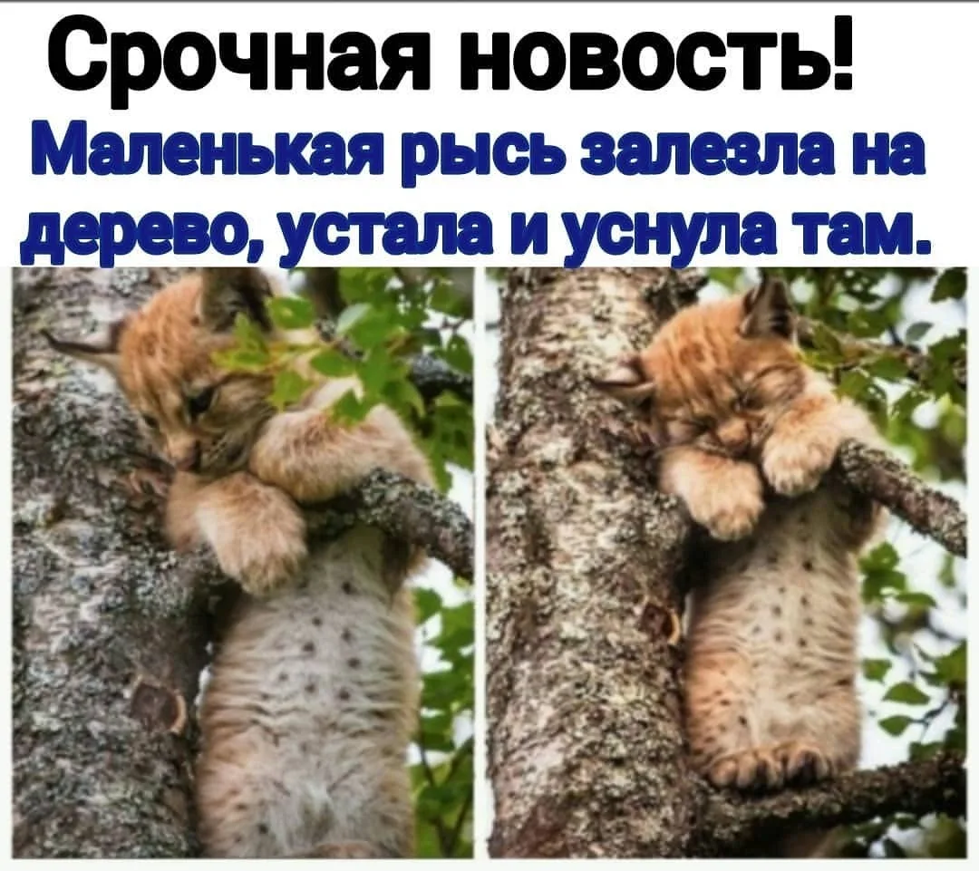 ____________________
Помощь со всеми видами работ

👉Написать нам в MAX
👉Написать нам в Telegram
