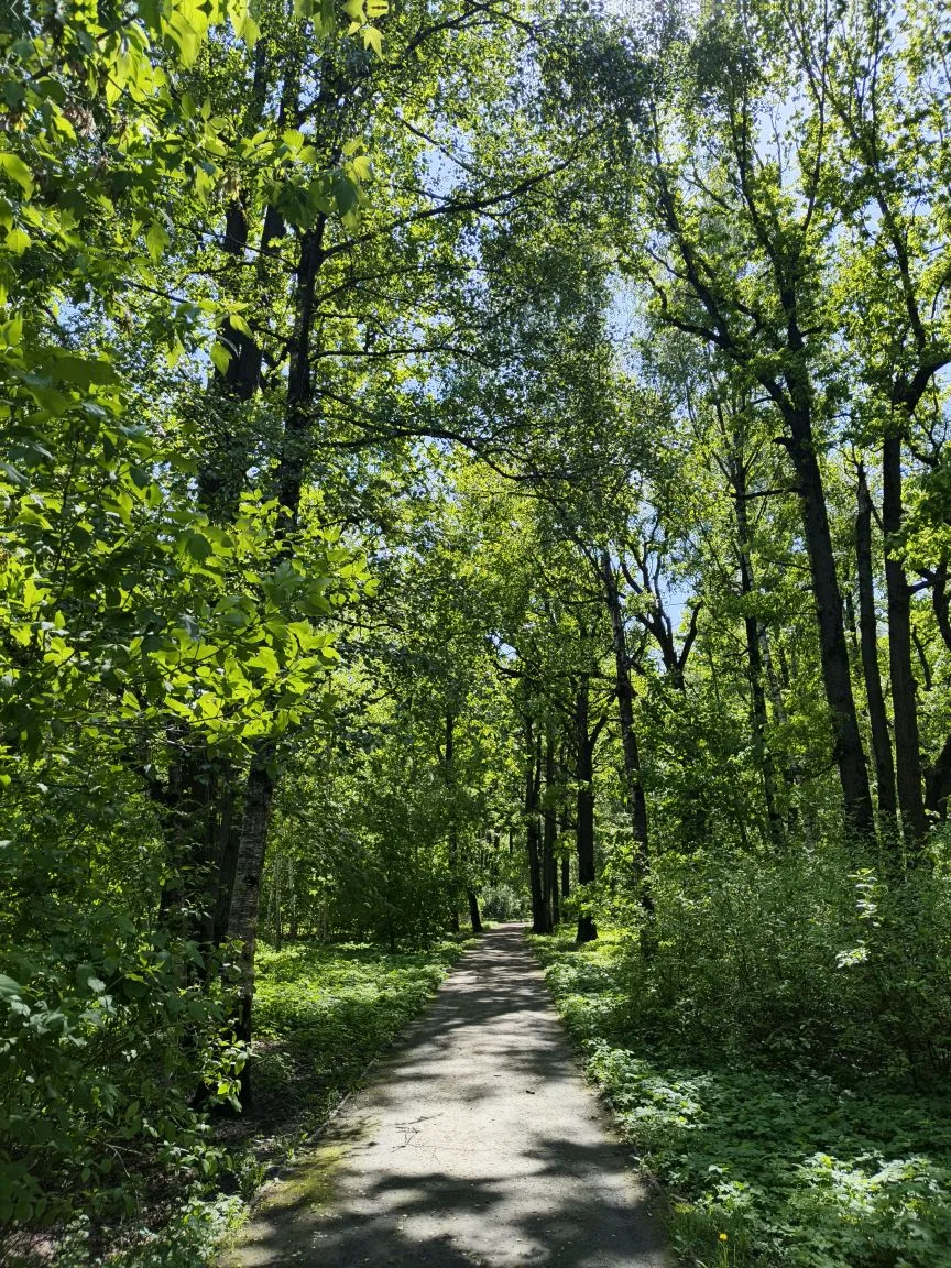 Майское утро в Лианозовском заказнике 💚

📸 Наши фото 
#свао #лианозово