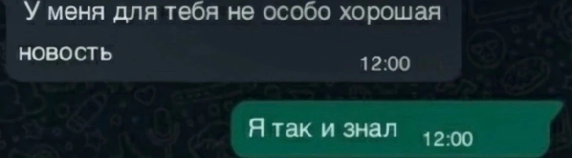 Птица не обманула😂