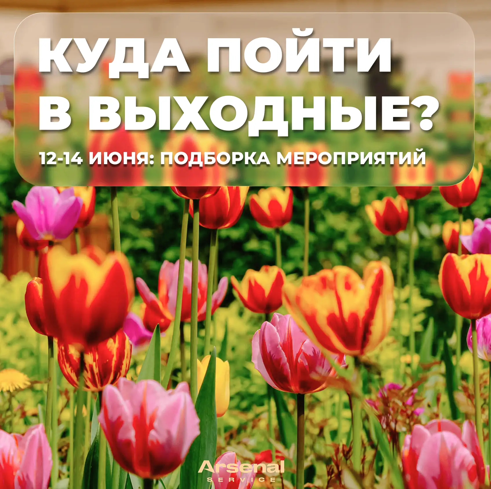 🌷Уважаемые жители!
Длинные выходные уже близко! Чтобы не ломать голову над планами, смотрите нашу п