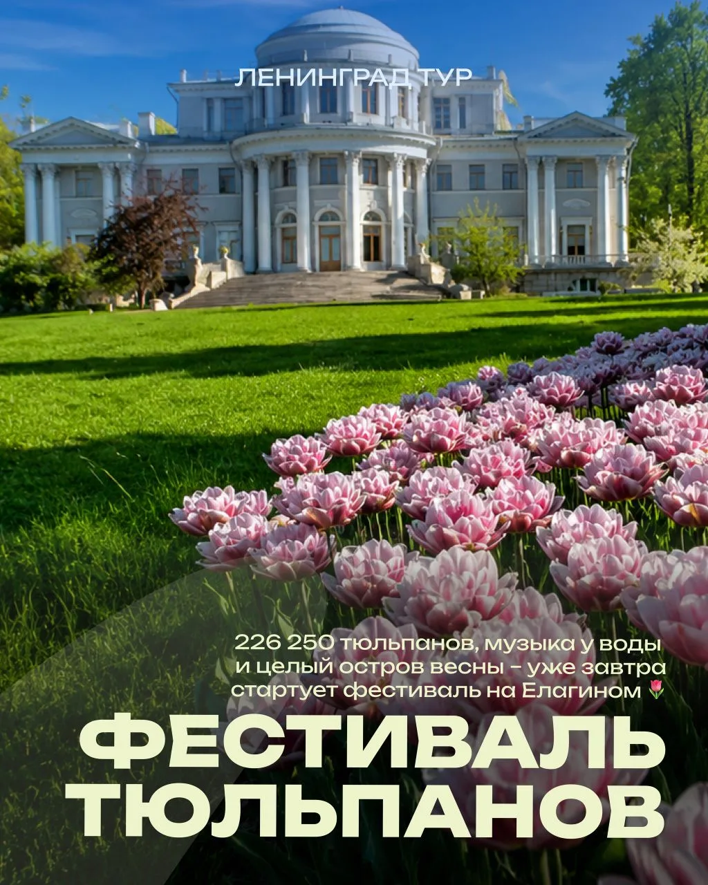🌷 Друзья, уже завтра на Елагином острове стартует Фестиваль тюльпанов – большой музыкально-флористи