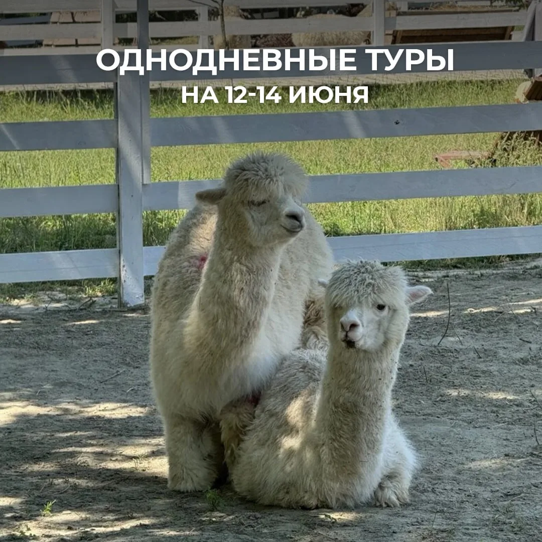 🌄 Длинные выходные уже близко! Выбирайте своё приключение и отправляйтесь навстречу новым впечатлен