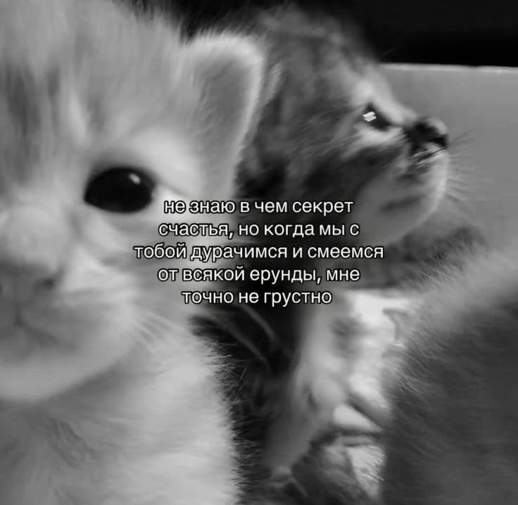 Это точно 💯