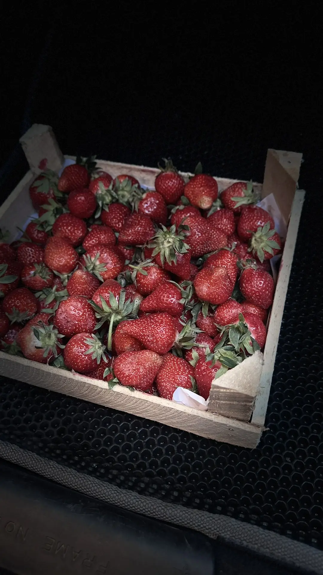 🍓 Самая вкусная клубника в Тюмени

Как-то давно мои друзья купили участок 30 соток в Луговом. Постр