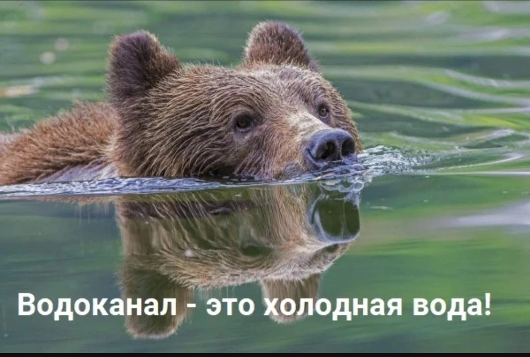 Когда вы захотите узнать у МУП «Учалыводоканал», почему нет горячей воды, вспомните, что:⤴️