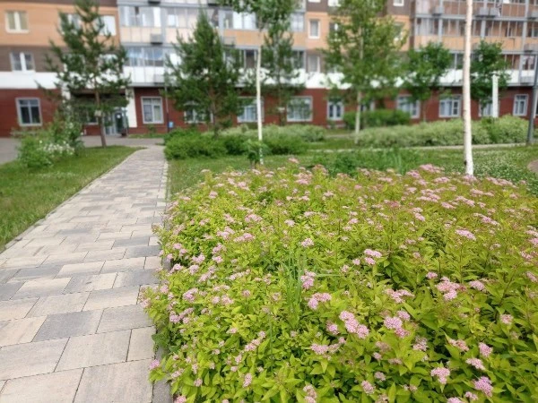 У нас наверное самый красивый, самый цветущий жк🌷🌸🌻ни в одном другом такой красоты не встречала)
