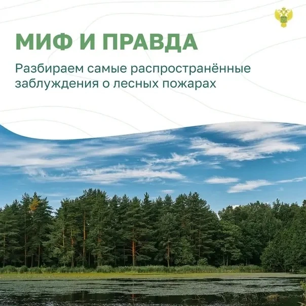 🔥🌲Мифы и правда о лесных пожарах