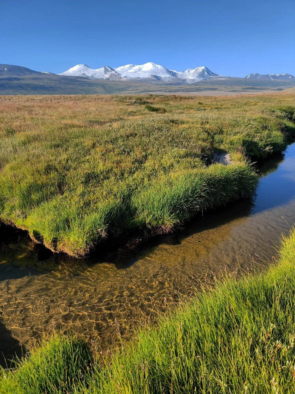🏞 Классика Укока в нашей обработке

Как в музыке, давно знакомые мелодии звучат совершенно по-иному