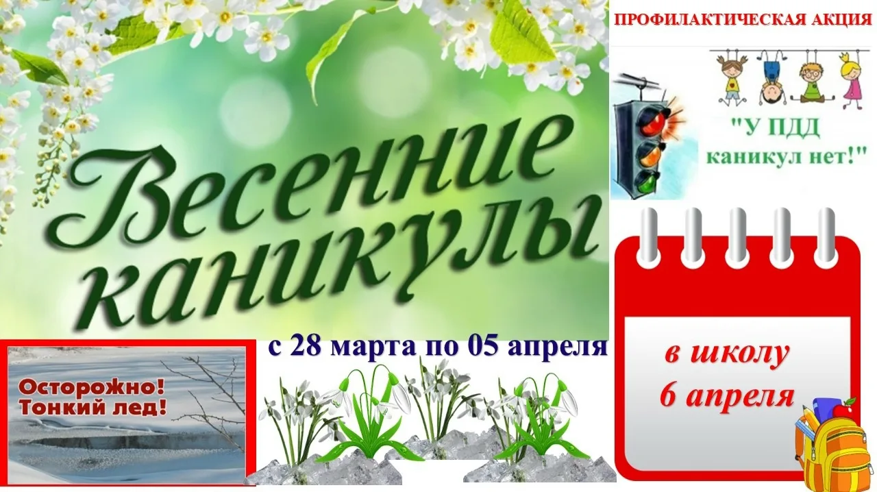 Ура, весенние каникулы!
Друзья, наступили весенние каникулы! Это прекрасное время для отдыха и новых